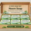 EVASHOPY Neem Soap